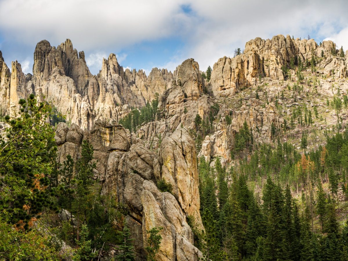 Black Hills